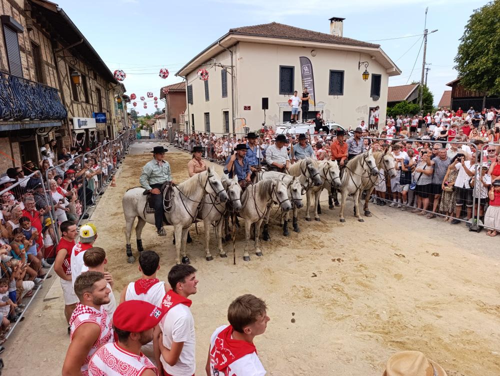 LA FERIA