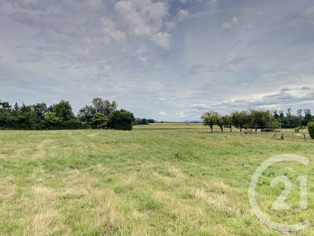 terrain à vendre - 1000.0 m2 - FOISSIAT - 01 - RHONE-ALPES - Century 21 Camaz Immobilier