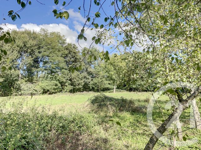 maison à vendre - 6 pièces - 169.0 m2 - CURCIAT DONGALON - 01 - RHONE-ALPES - Century 21 Camaz Immobilier