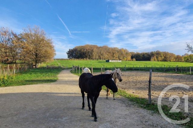 maison - ST NIZIER LE BOUCHOUX - 01