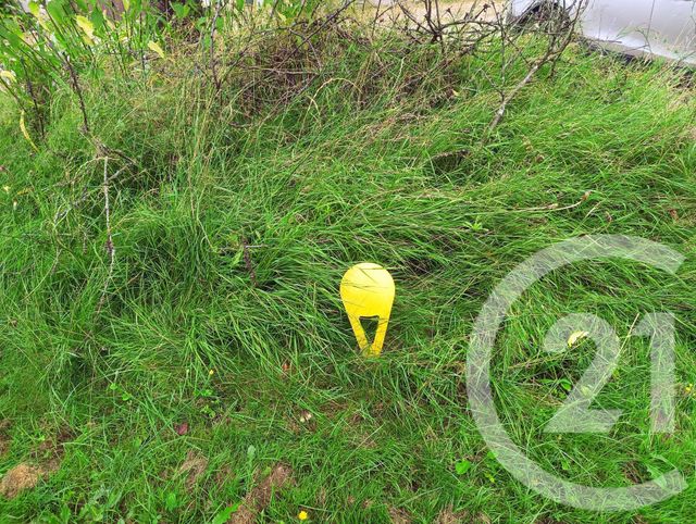 terrain à vendre - 1531.0 m2 - NIVIGNE ET SURAN - 01 - RHONE-ALPES - Century 21 Camaz Immobilier