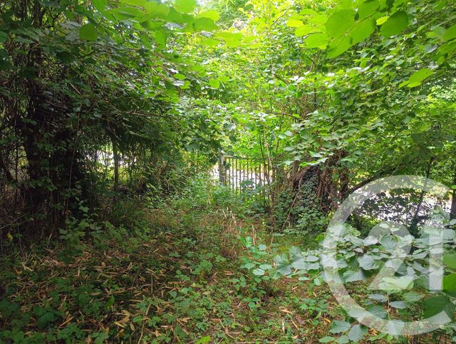 terrain à vendre - 1531.0 m2 - NIVIGNE ET SURAN - 01 - RHONE-ALPES - Century 21 Camaz Immobilier