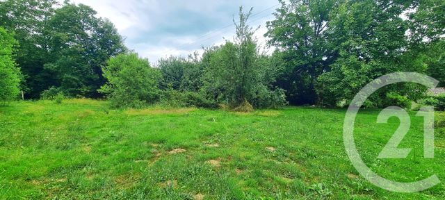 Terrain à vendre NIVIGNE ET SURAN