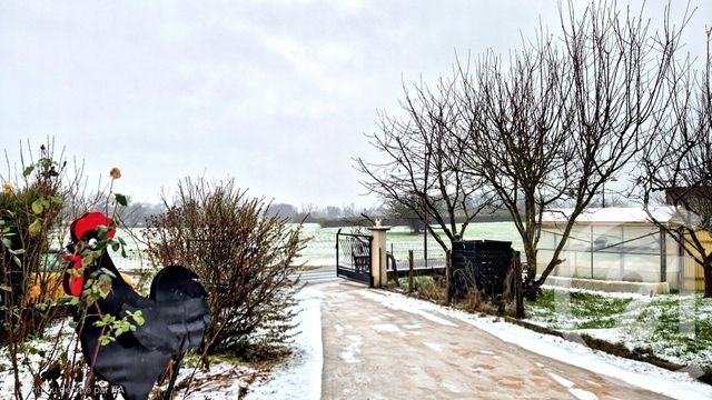 maison - CURCIAT DONGALON - 01