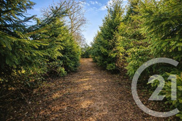 maison à vendre - 1 pièce - 100.0 m2 - LESCHEROUX - 01 - RHONE-ALPES - Century 21 Camaz Immobilier