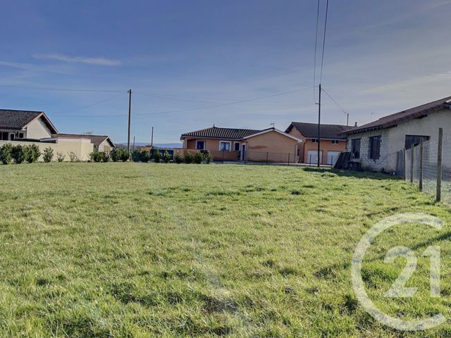 terrain à vendre - 802.0 m2 - FOISSIAT - 01 - RHONE-ALPES - Century 21 Camaz Immobilier